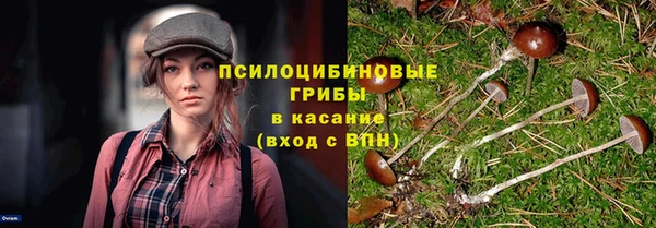 мет Белокуриха